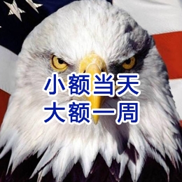 新巴尔虎左要账公司